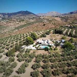 Finca Amorosa Bed & Breakfast